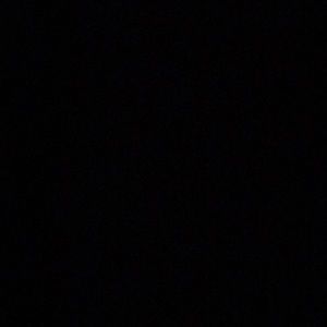 Meet your Posher, Lilly